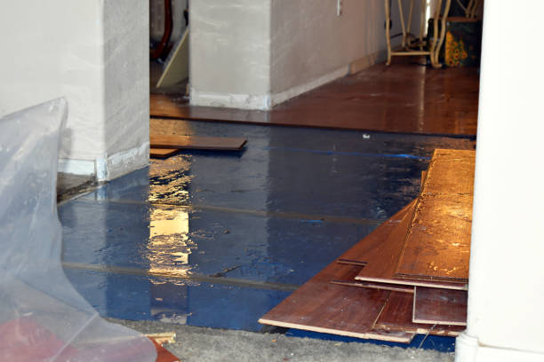 Professional Basement Flood Cleanup technician working in London, CA